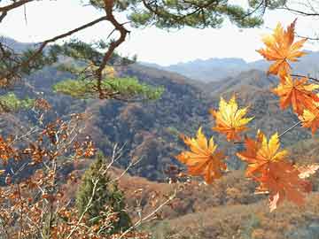 花呗借呗十万无力偿还怎么办，会怎么样？